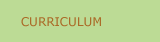 Curriculum